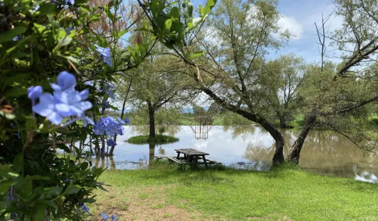 Parque Ecológico Las Mariposas: Un oasis en Guanajuato para desconectarse y explorar