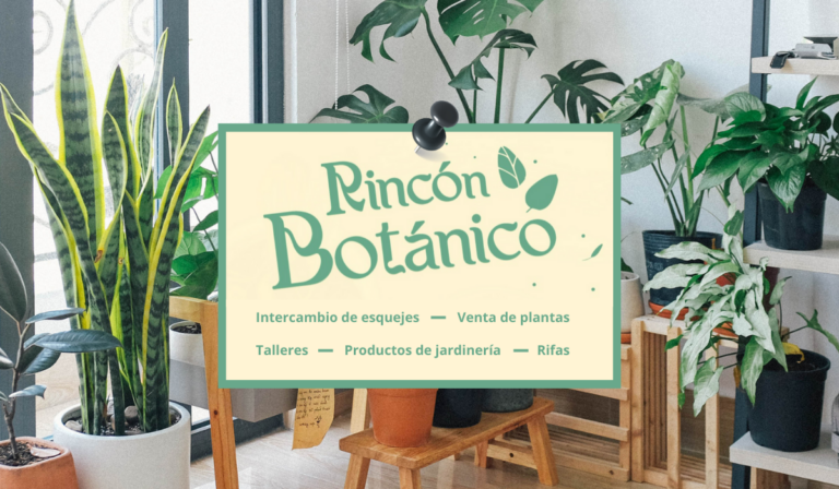 Rincón Botánico 2025: El evento perfecto para los amantes de las plantas