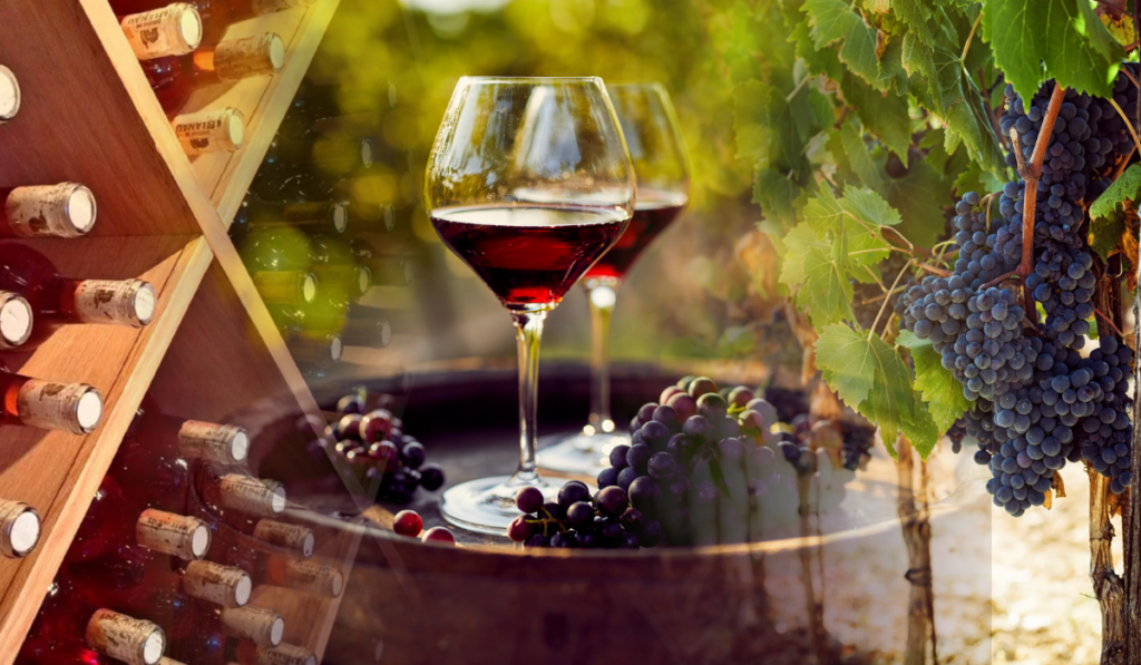 Vino mexicano: los viñedos secretos que los expertos no quieren que descubras