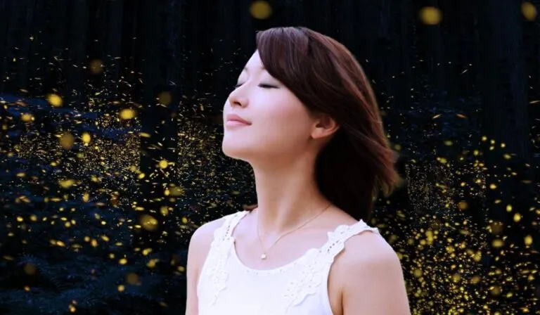 El Festival Internacional de las Luciérnagas 2025 tendrá a Japón de invitado