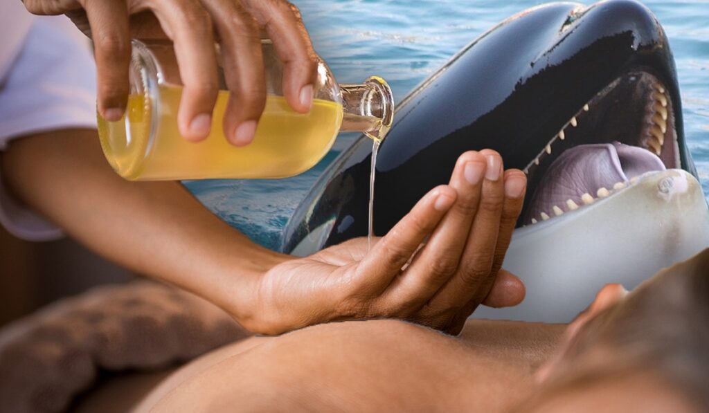 Orcas creativas: entre el spa marino y la moda acuática