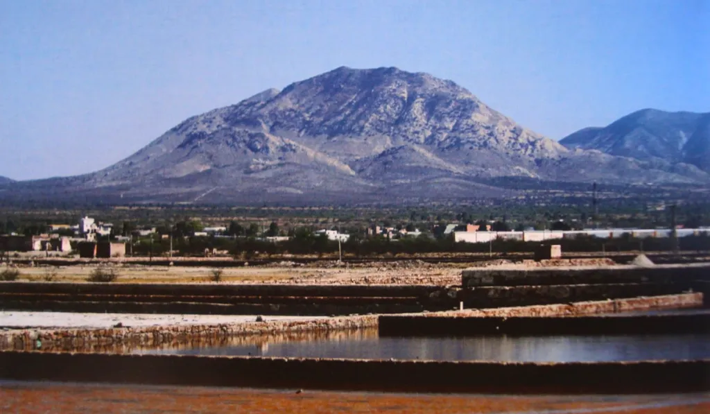 Salinas de Hidalgo: Un oasis de sal que pocos conocen