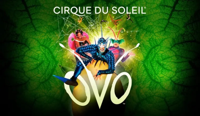 ¡El Cirque du Soleil regresa a Guadalajara en 2025 con su espectáculo “OVO”!