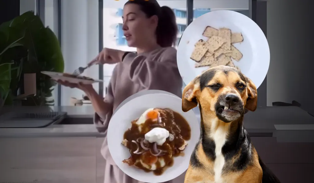 Michelle Salas desata polémica por su receta saludable de chilaquiles