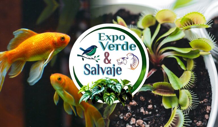 Expo Verde y Salvaje llega a León