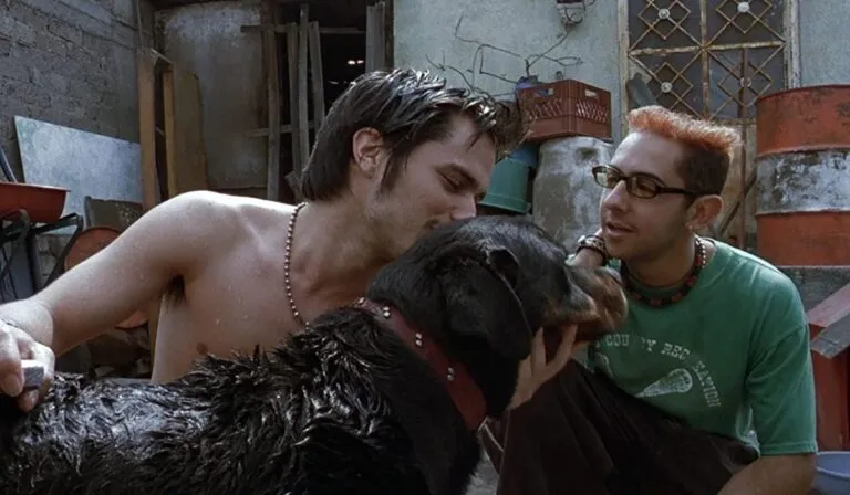 Amores Perros proyectada en Bellas Artes con concierto de Gustavo Santaolalla