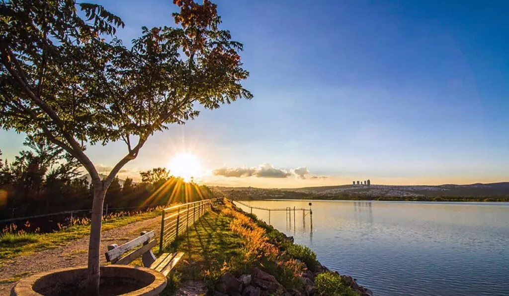¡Estrenan 22 nuevas hectáreas en el Parque Metropolitano de León!