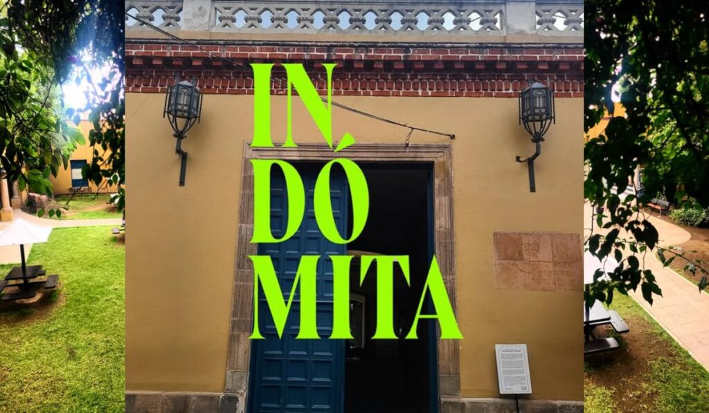 Indómita: la feria de arte contemporáneo que llega al sur de CDMX