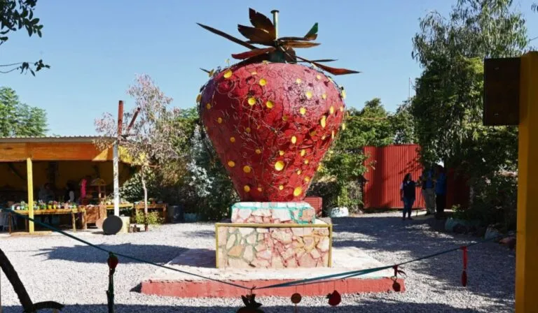Irapuato impulsa su tradición: Museo de la Fresa tendrá ciclo de conferencias para productores