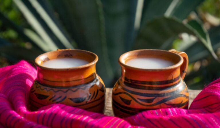 San Agustín del Pulque: el pueblo donde la tradición y el pulque siguen vivos