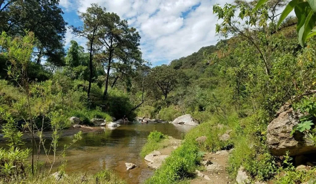 Tres áreas naturales protegidas en Guadalajara donde está prohibido construir