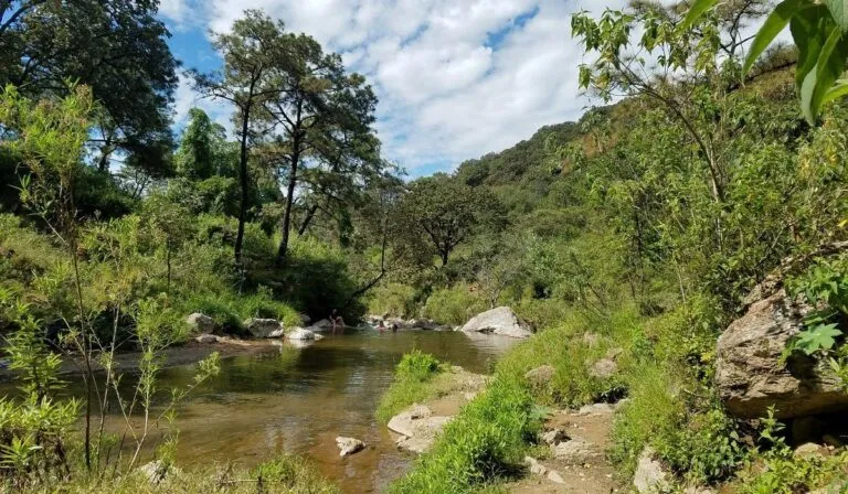 Tres áreas naturales protegidas en Guadalajara donde está prohibido construir