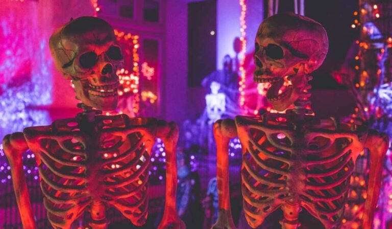 Agenda del terror 2025: todos los eventos de Halloween y Día de Muertos en CDMX
