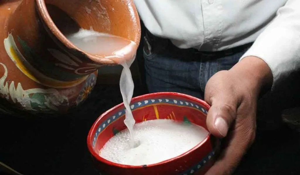 La Feria del Pulque 2025 llega a Atizapán con sabores, música y tradición mexicana