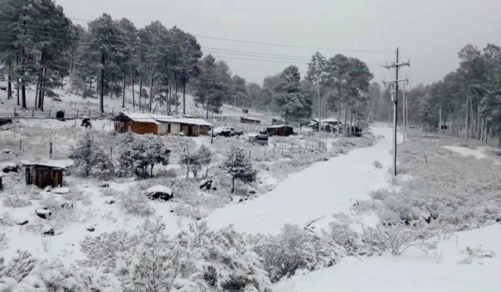 La Rosilla, el “congelador de México”, rompe sus propios récords de frío una vez más