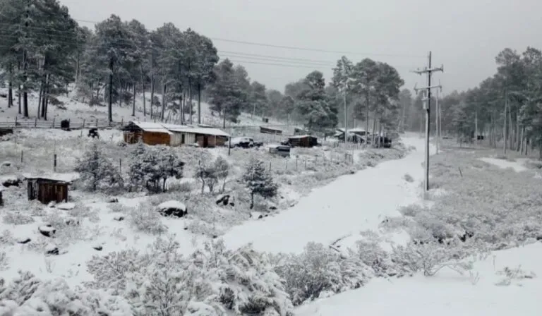 La Rosilla, el “congelador de México”, rompe sus propios récords de frío una vez más