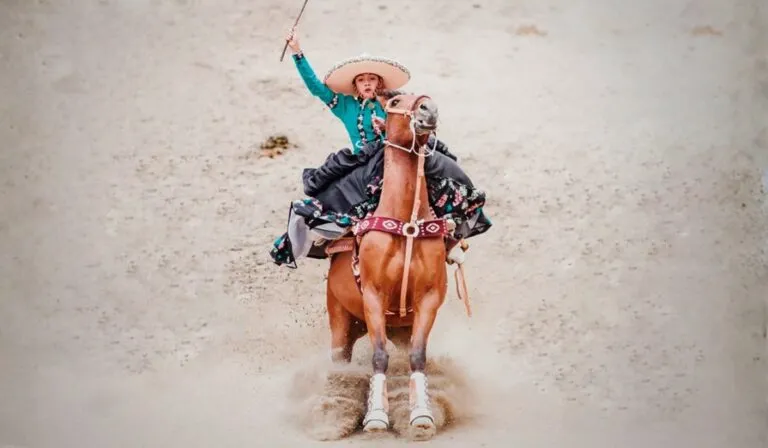 Tlaxcala se viste de charro: la Feria de Ferias 2025 celebra el orgullo mexicano a caballo