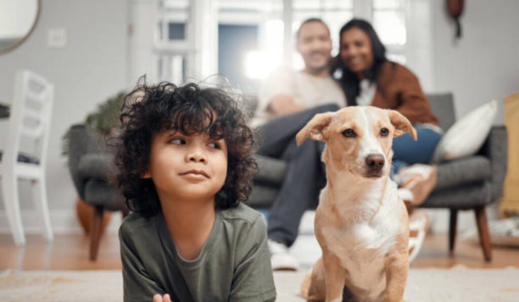 Ya no pueden negarte la renta por tener niños o mascotas en CDMX: entra en vigor nueva reforma