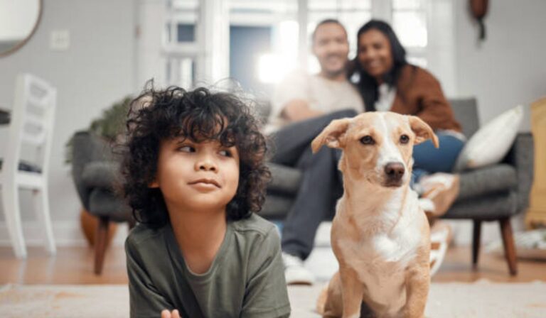 Ya no pueden negarte la renta por tener niños o mascotas en CDMX: entra en vigor nueva reforma