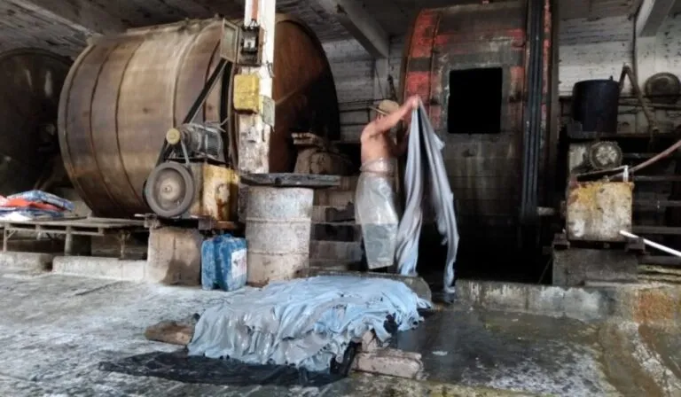 Estudiantes del IPN Guanajuato crean biofiltro con cáscara de naranja que elimina hasta 95% del cromo en aguas residuales