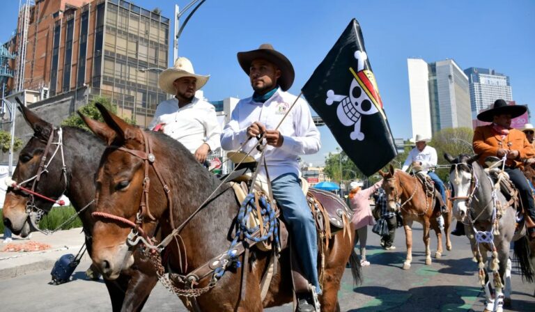 Generación Z convoca una nueva marcha en CDMX: el movimiento juvenil que crece con símbolo de One Piece