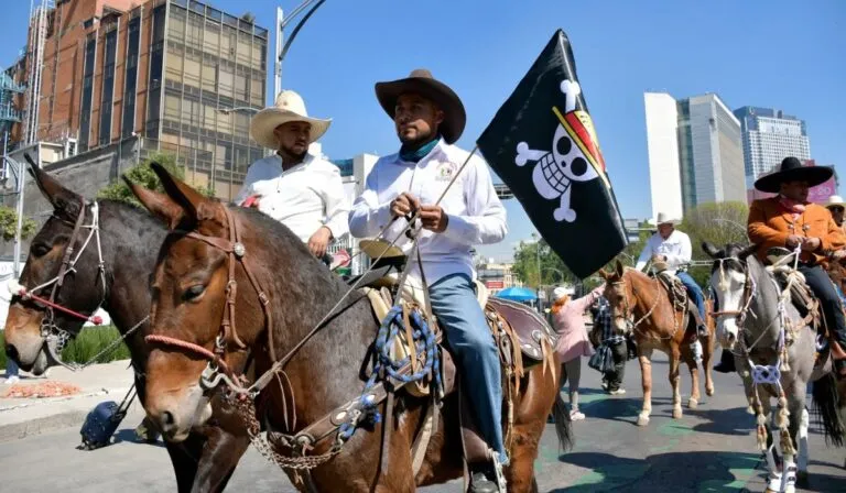 Generación Z convoca una nueva marcha en CDMX: el movimiento juvenil que crece con símbolo de One Piece