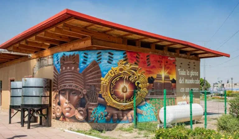 La primera tortillería de maíz nativo en CDMX lucha por no pasar desapercibida