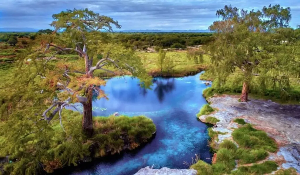 Los Peroles: el paraíso escondido en San Luis Potosí donde puedes bucear entre árboles milenarios