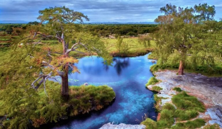 Los Peroles: el paraíso escondido en San Luis Potosí donde puedes bucear entre árboles milenarios