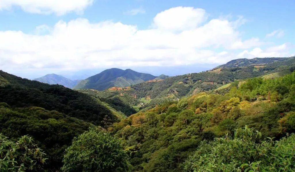 Sierra Gorda de Guanajuato: cañones, pozas ocultas y rutas que pocos conocen