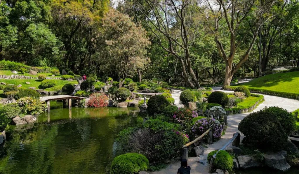 Colomos se ilumina de noche: el recorrido que cierra el año con magia