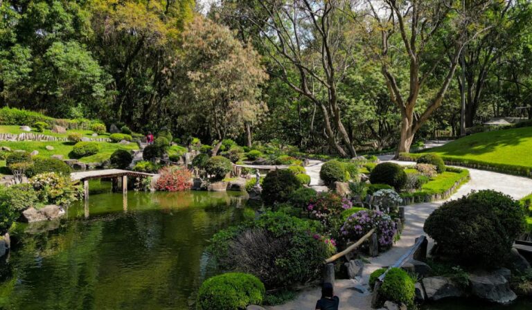 Colomos se ilumina de noche: el recorrido que cierra el año con magia