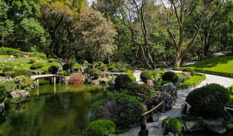 Colomos se ilumina de noche: el recorrido que cierra el año con magia