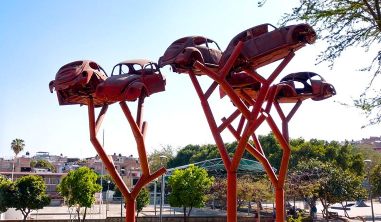 El árbol gigante de vochos que sorprende en Guadalajara: un tesoro urbano que pocos conocen