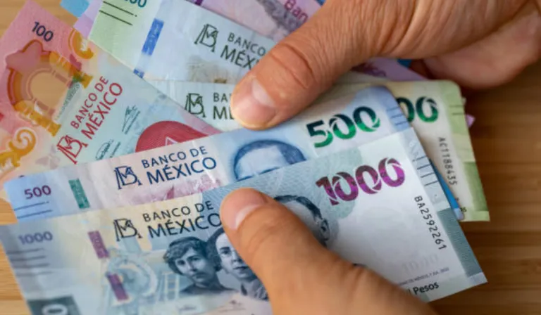 Arranca 2026 con apoyo al emprendimiento rural: lanzan “Creemos en Ti” en Guanajuato