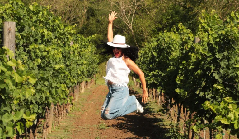 Guanajuato destaca a nivel global con proyectos finalistas en los Premios Excelencias 2025