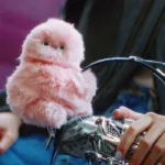 Mirumi: el nuevo objeto peludo que busca repetir el fenómeno de los Labubus