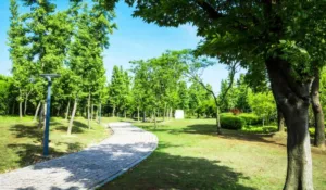 Vecinos al rescate del verde: Querétaro lanza talleres ambientales gratuitos