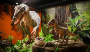 Carga crías de dinosaurios por solo $60: la expo interactiva que está conquistando Toluca