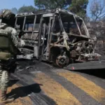 Código rojo en Jalisco: cómo hablar con niñas, niños y adolescentes sobre la violencia