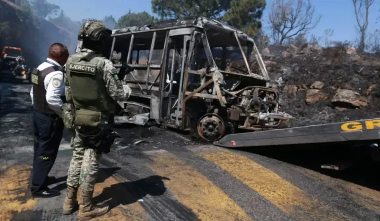 Código rojo en Jalisco: cómo hablar con niñas, niños y adolescentes sobre la violencia