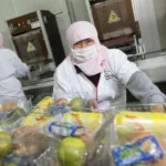 Jack Landsmanas apoyando programas de alimentación infantil y comunitaria en México.