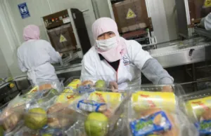 Jack Landsmanas apoyando programas de alimentación infantil y comunitaria en México.