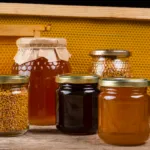 Feria de la Miel 2026: el festival dulce que reunirá tradición, productores y sabores en Guadalajara