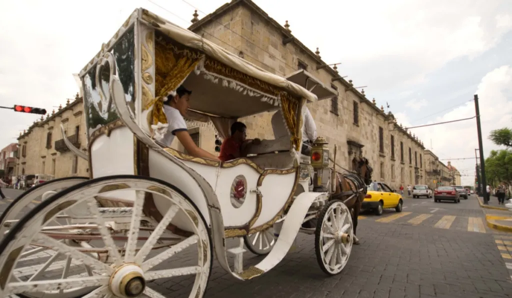 Guadalajara busca que todas sus calandrias sean eléctricas antes del Mundial