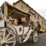 Guadalajara busca que todas sus calandrias sean eléctricas antes del Mundial