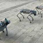 Perros robot vigilarán el Estadio Monterrey durante el Mundial 2026