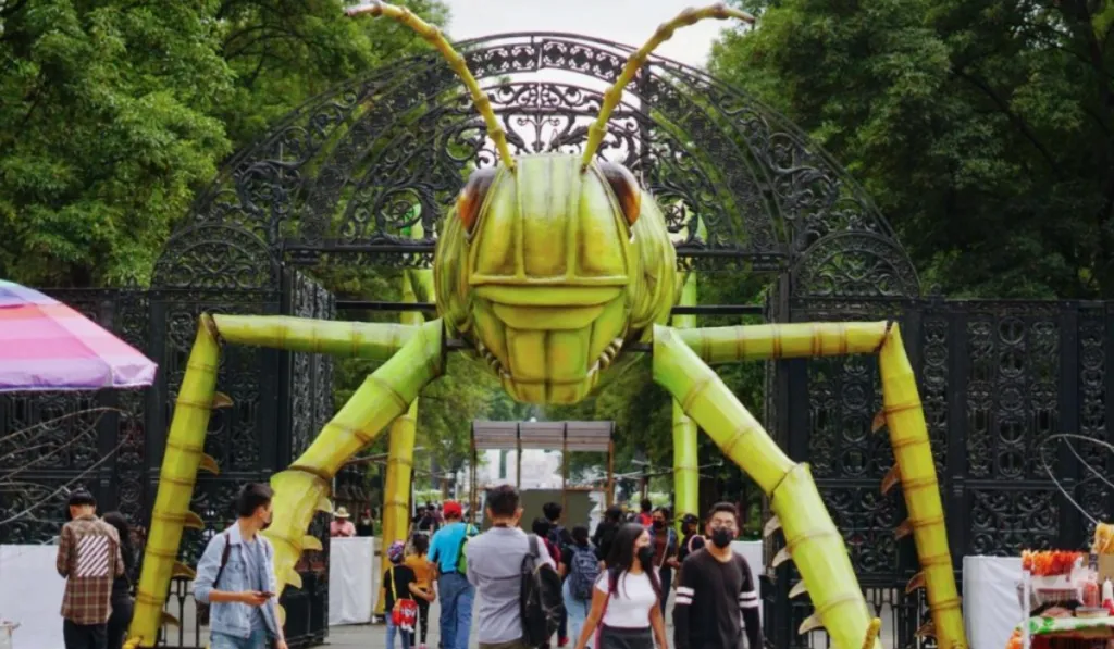 Aqüifera 2026: el Festival del Bosque de Chapultepec convertirá la ciudad en un escenario dedicado al agua