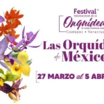 Coatepec florecerá con el Festival Internacional de la Orquídea 2026