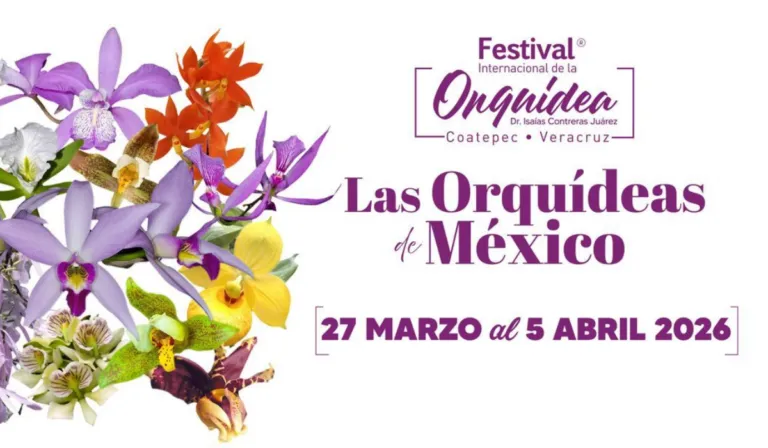 Coatepec florecerá con el Festival Internacional de la Orquídea 2026